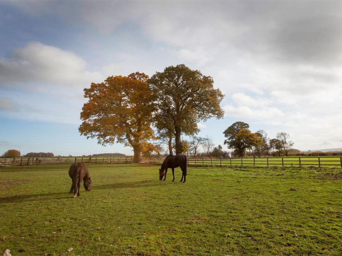 Deerholme Holiday home Malton